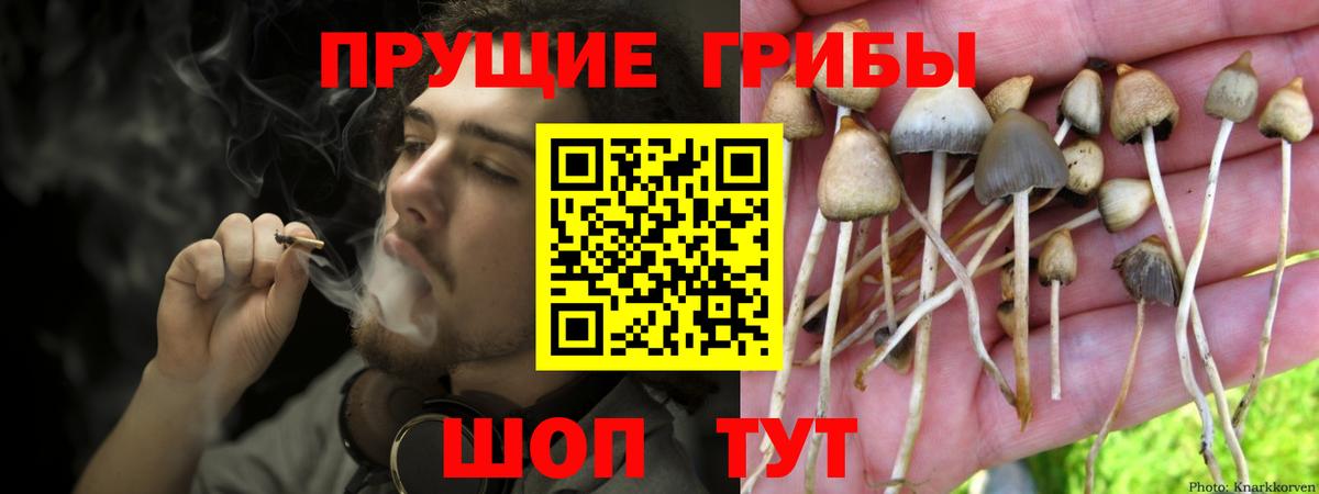 Псилоцибиновые грибы ЛСД  Вход с VPN  Пугачёв  Псилоцибиновые грибы ЛСД 